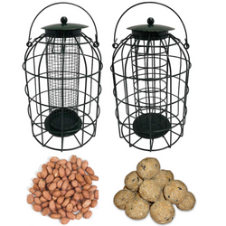 Squirrel Guard NUT & FATBALL Feeder - Green - Simply Direct - Feed Options