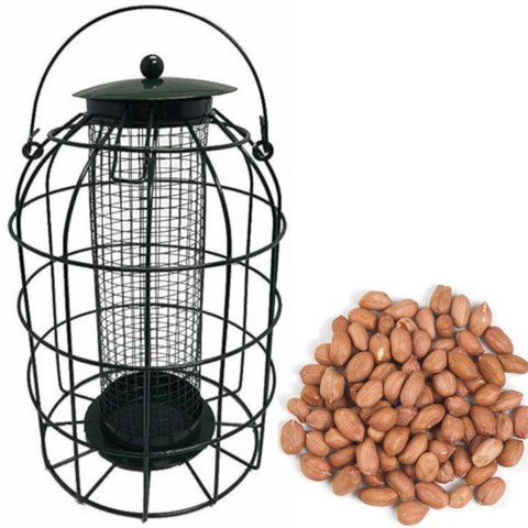 Squirrel Guard NUT Feeder - Green - Simply Direct - Feed Options